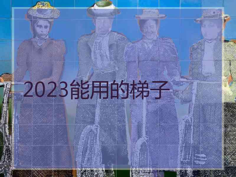 2023能用的梯子