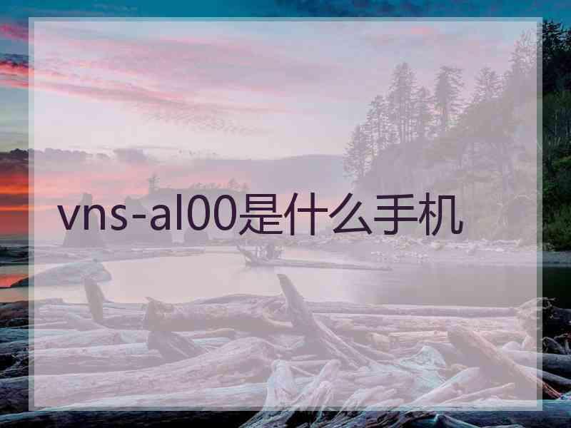 vns-al00是什么手机