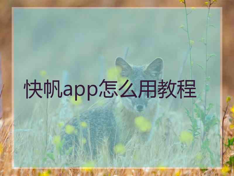 快帆app怎么用教程