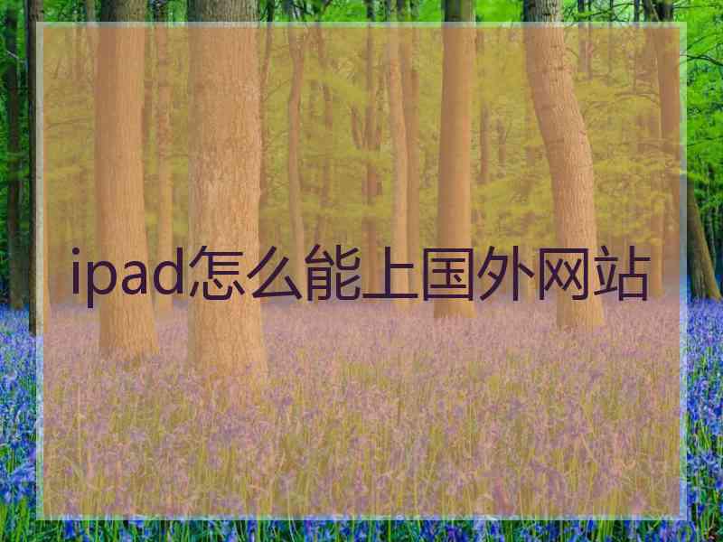 ipad怎么能上国外网站