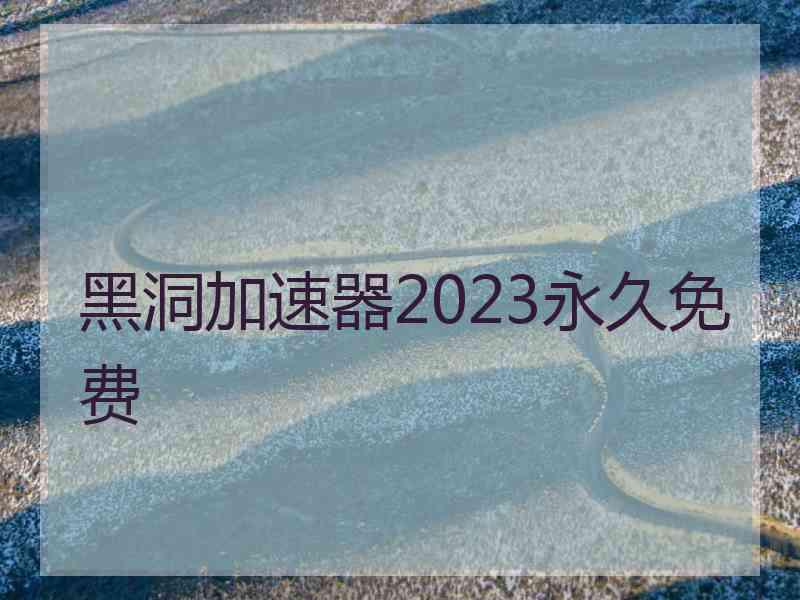 黑洞加速器2023永久免费