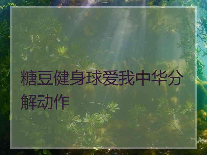 糖豆健身球爱我中华分解动作