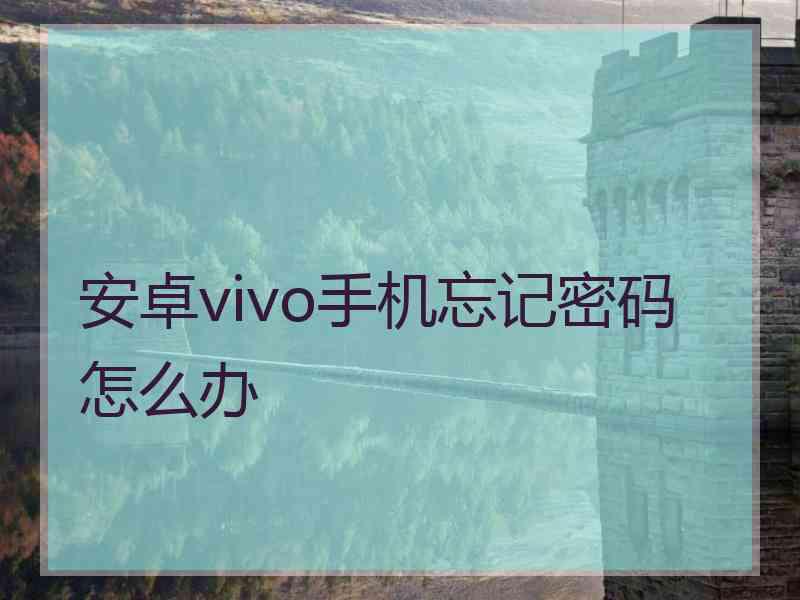 安卓vivo手机忘记密码怎么办