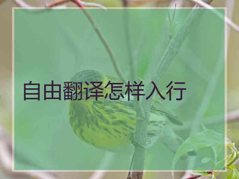 自由翻译怎样入行