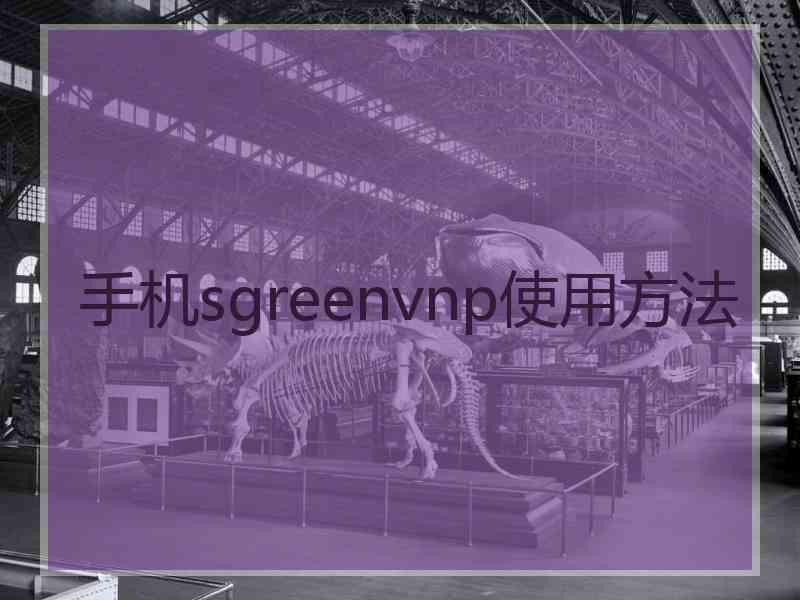 手机sgreenvnp使用方法