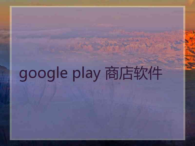 google play 商店软件