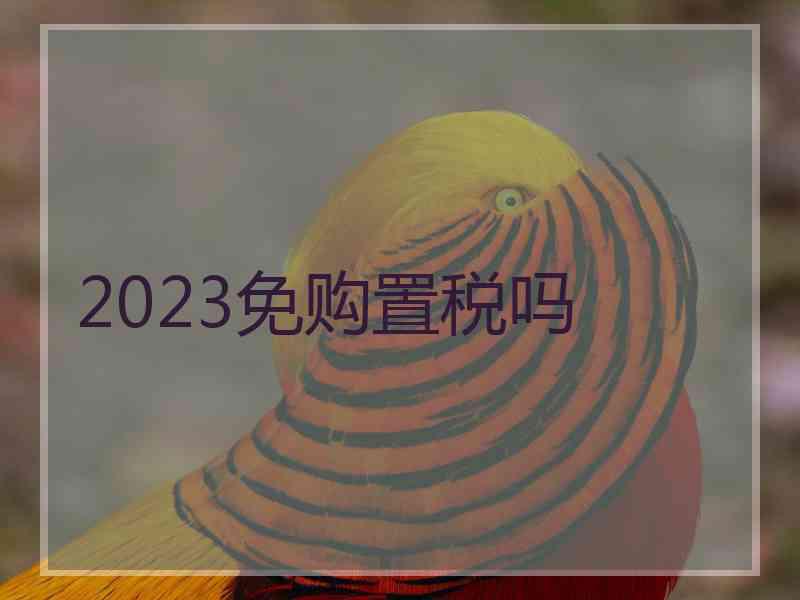 2023免购置税吗