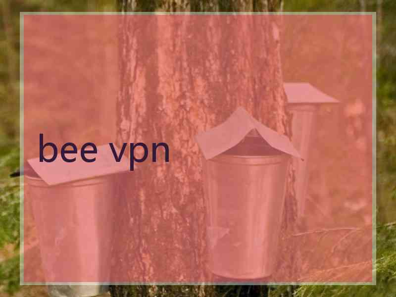 bee vpn