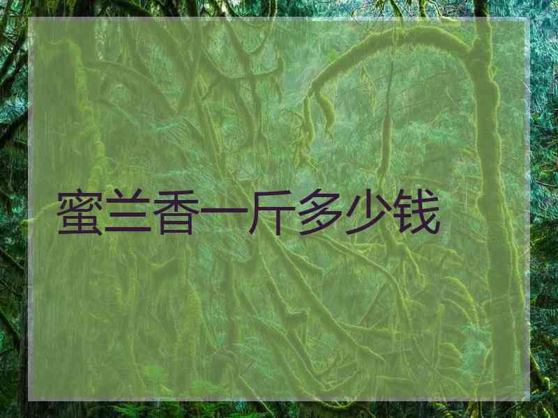 蜜兰香一斤多少钱