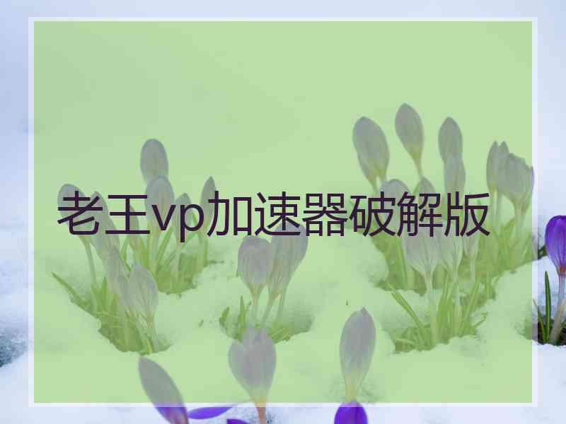 老王vp加速器破解版